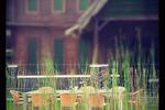 Grannys Hostel