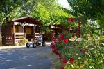 Camping La Pineda de Salou - Image 4