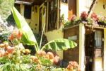 Oasis of Peace Lopatnica - Image 2