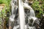 Oasis of Peace Lopatnica - Image 6