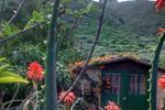 Bio Space Guesthouse