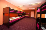 Team Hostel - Image 5