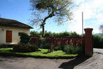 Hosteria Papagayo - Image 2