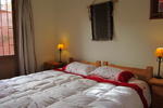 Hostal El Arbol - Image 2