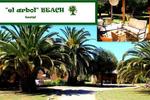 Hostal El Arbol - Image 3