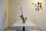 Studio 45 - Image 5