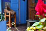 Lima Limon Candelaria Hostel - Image 2