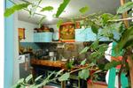 Lima Limon Candelaria Hostel - Image 9