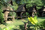 Banana Patch - Image 2