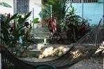 Caza Olas Hotel and Hostel - Image 6