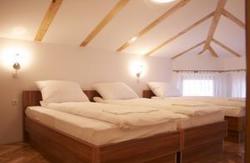 Hotel Herc
