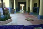 Hostal La Casa de Paco - Image 7