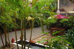 Angkor Garden Guesthouse