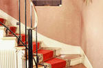 Photos of Hotel Luxia