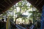 Cool Vibes Beach Front Hostel