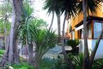 Apartments Kalimera Tipo B - Image 2