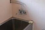 Backpackers Furyu - Image 5
