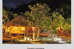 Monkey Island Resort - Image 2