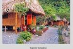 Monkey Island Resort - Image 1
