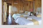 Monkey Island Resort - Image 4