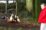 Newtown Farm Country House - Image 6