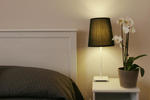 Roman Suite