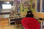 Hostel Dandelion - Image 8
