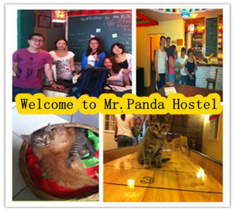 Mr. Panda Hostel  3