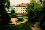 Dizzy Daisy Hostel Wroclaw - Image 2