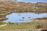 Hillside House B&B - Image 7