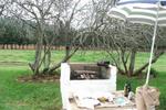 BallynaFagh Farm - Image 2
