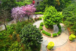 Plum Flowers Guest House - Image 9