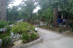 Sandy Beach - Image 4