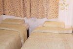 Safari Guest House - Image 2
