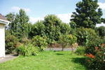 Tom's Hostel Ireland - Image 2