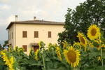 Casa Cardarella - Image 2