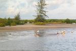 One Love Island Campsite - Image 6