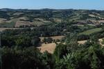 Terrazza in collina - Image 2