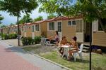 PLUS Camping Roma - Image 5