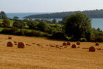 Harbour Crest - Image 2