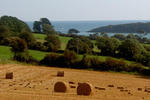 Harbour Crest - Image 8