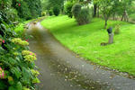 Harbour Crest - Image 13