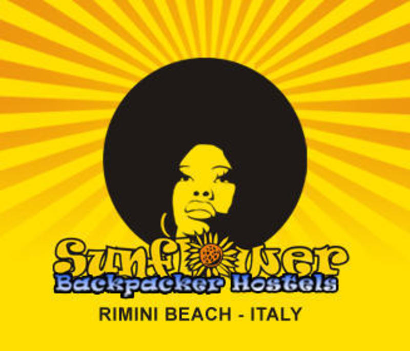 Sunflower Surf Youth Hotel  0