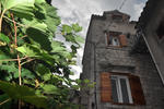 Villa Ivanka - Image 7