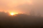 Misty Valley - Image 5