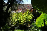 Hostal los Camellos - Image 3