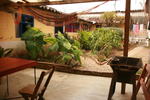 Hostal los Camellos - Image 8