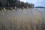 Tvetagardens Vandrarhem - Image 2