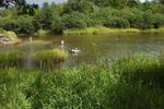 Lakeside Hostel - Image 9