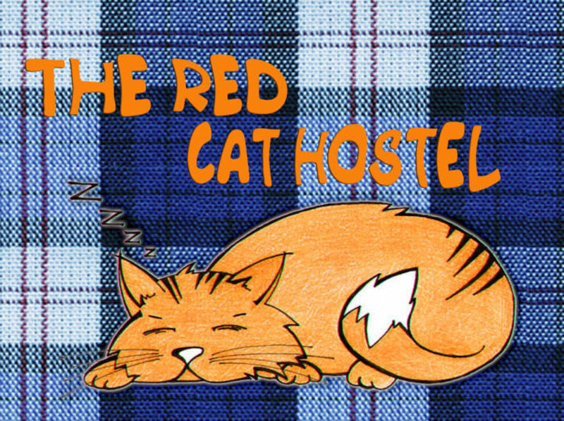 The Red Cat  0